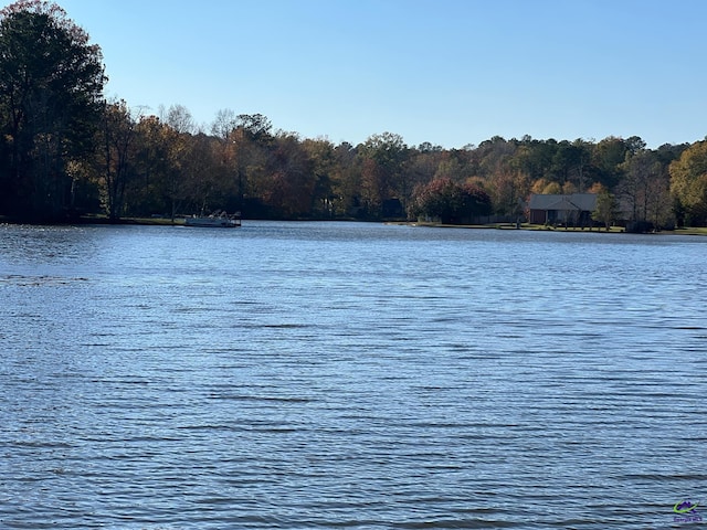 view of water feature