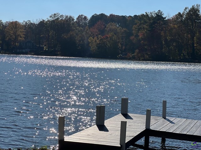 view of dock with a water view