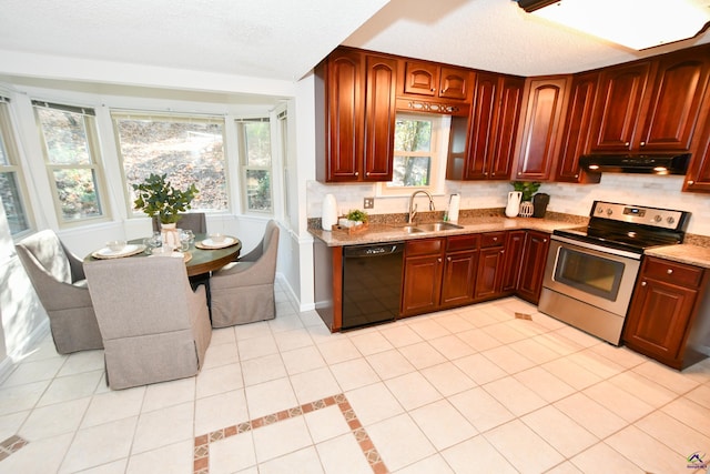 kitchen with stainless steel electric range, dishwasher, sink, and a wealth of natural light