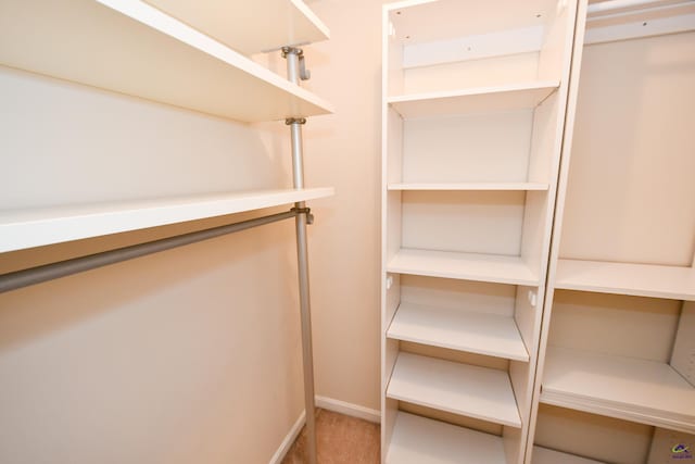 view of spacious closet