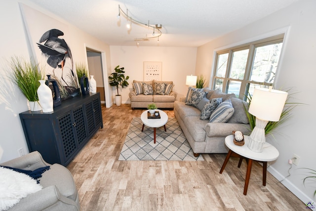 living room featuring light wood-type flooring