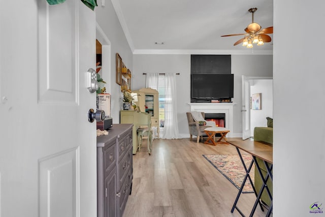 living room featuring ceiling fan, light hardwood / wood-style floors, ornamental molding, and a fireplace