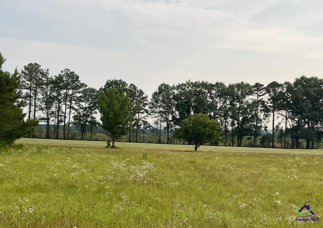 38 Crabapple Dr, Hawkinsville GA, 31036 land for sale