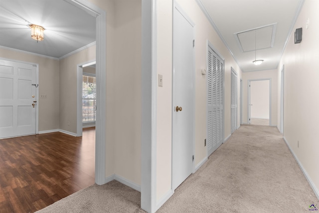 hallway with light hardwood / wood-style floors and ornamental molding