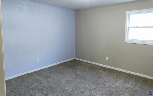 unfurnished room with carpet