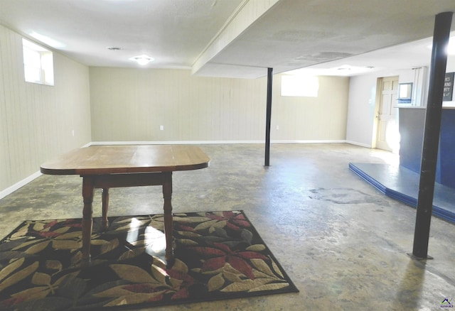 basement with wood walls