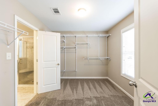 walk in closet featuring carpet floors