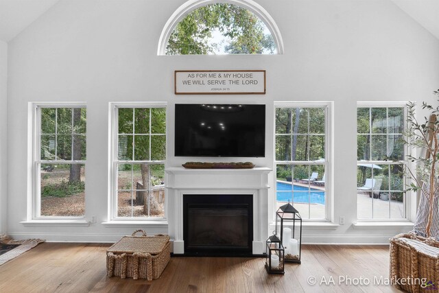 living room featuring wood-type flooring and high vaulted ceiling