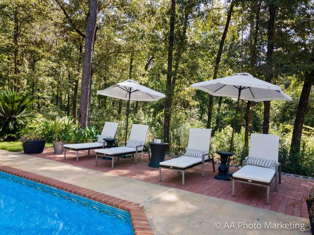 view of swimming pool featuring a patio