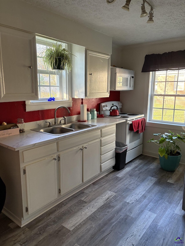 kitchen featuring sink, white appliances, wood-type flooring, and white cabinets