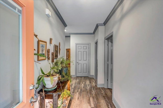 hall with crown molding and dark wood-type flooring