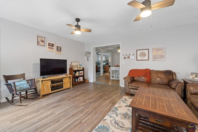 living room featuring light hardwood / wood-style flooring