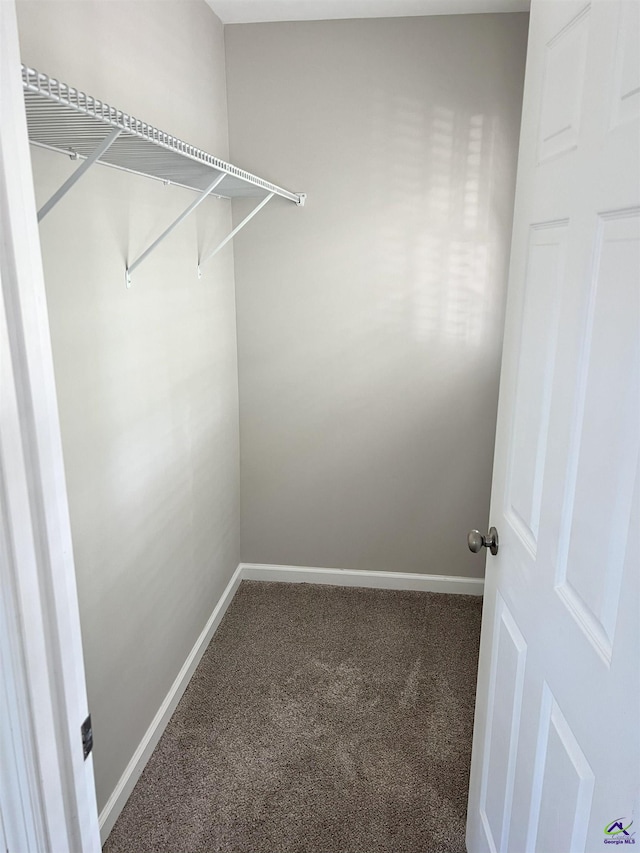 spacious closet with carpet