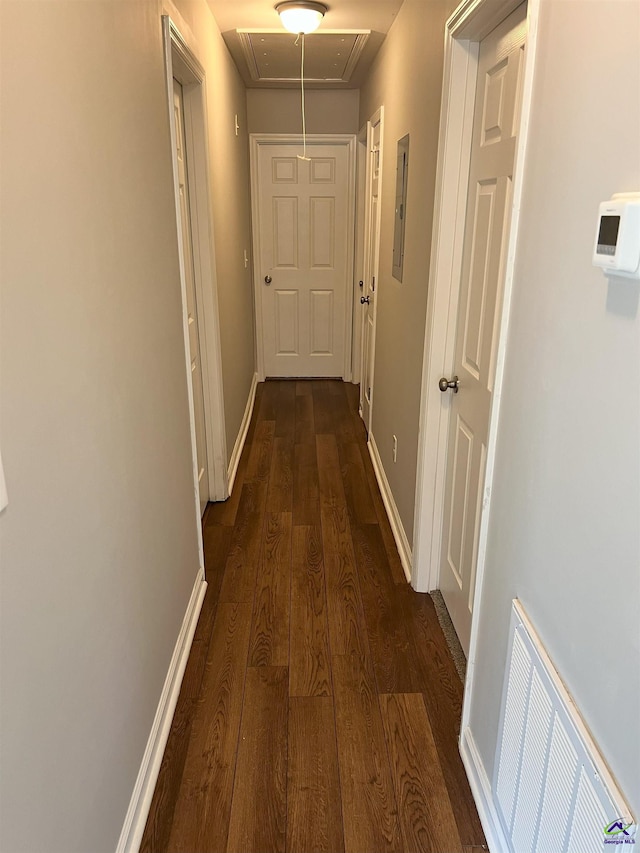 hallway featuring dark hardwood / wood-style flooring and electric panel