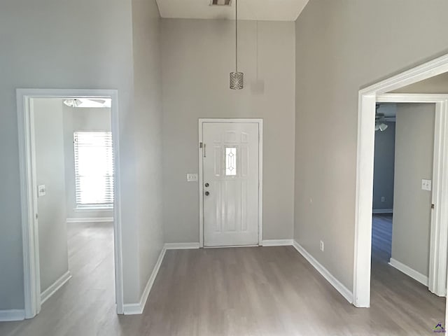 entryway with wood-type flooring and a high ceiling