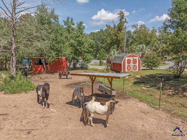 view of yard featuring a storage unit