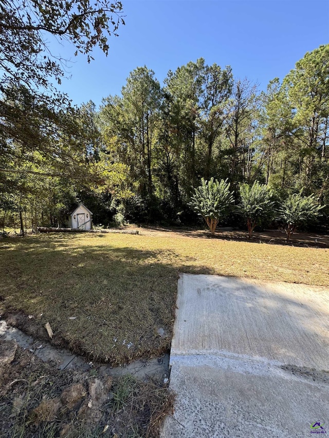 view of yard featuring a storage shed