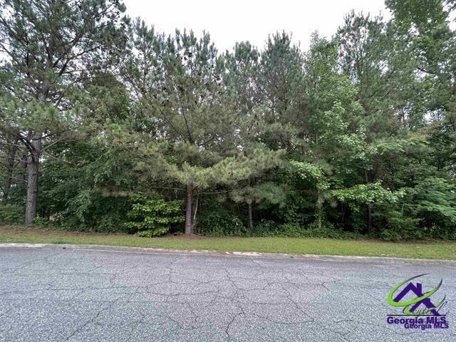 124 Mcclain Cir, Macon GA, 31216 land for sale