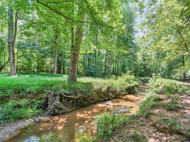 view of local wilderness