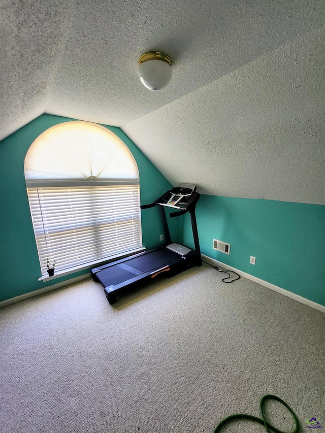 exercise area with carpet, a textured ceiling, and lofted ceiling