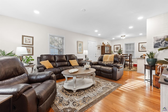 living room featuring light wood-type flooring