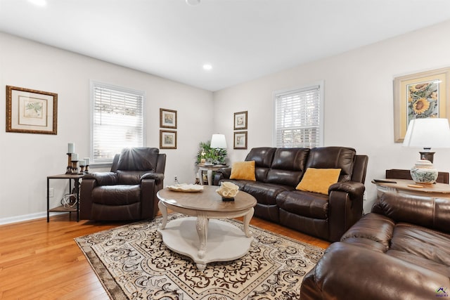 living room with light hardwood / wood-style floors and a wealth of natural light