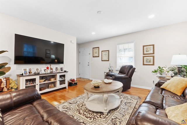 living room with light wood-type flooring