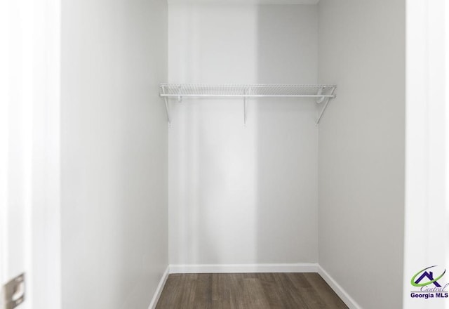 spacious closet with dark wood-type flooring