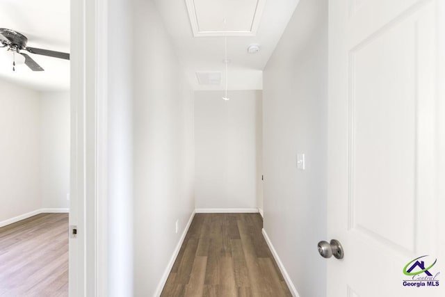 walk in closet with ceiling fan and hardwood / wood-style flooring