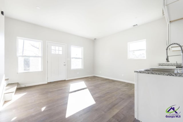 interior space featuring hardwood / wood-style flooring and sink