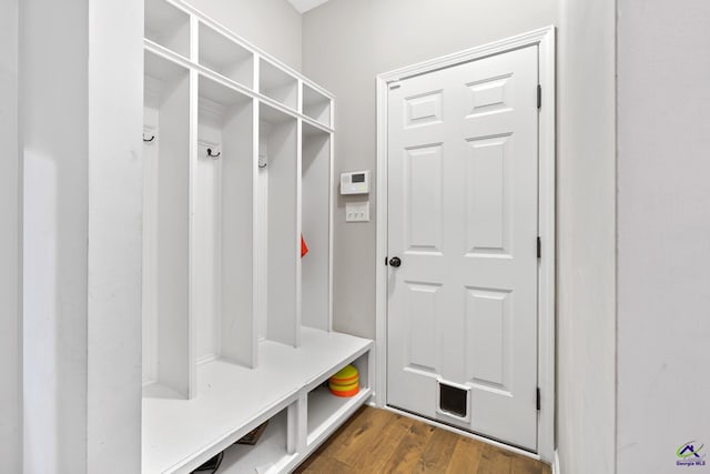 mudroom featuring dark hardwood / wood-style floors