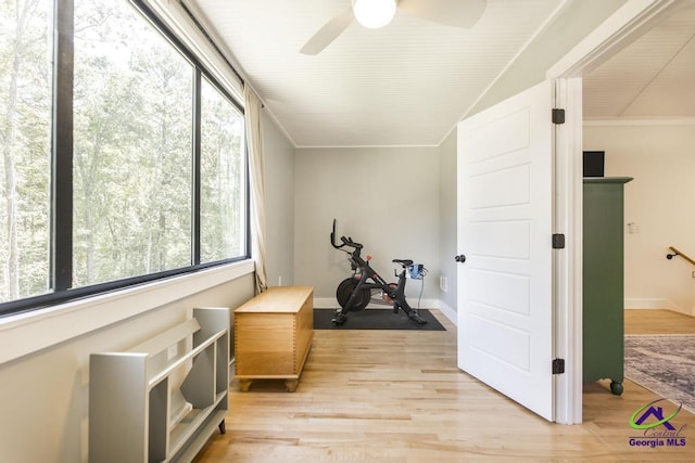 exercise area featuring ceiling fan and light hardwood / wood-style flooring