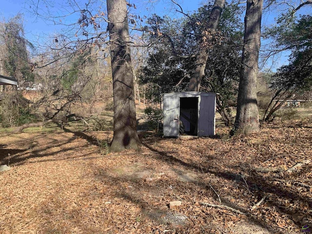 view of yard with a storage unit