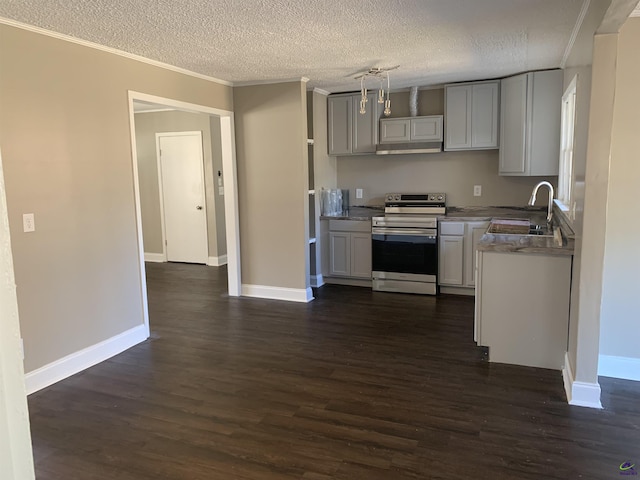 kitchen featuring sink, crown molding, a textured ceiling, dark hardwood / wood-style floors, and stainless steel electric stove