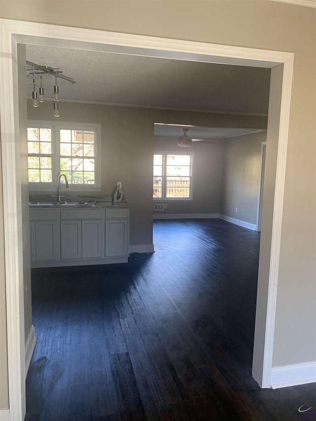 unfurnished room featuring a healthy amount of sunlight, dark wood-type flooring, and sink