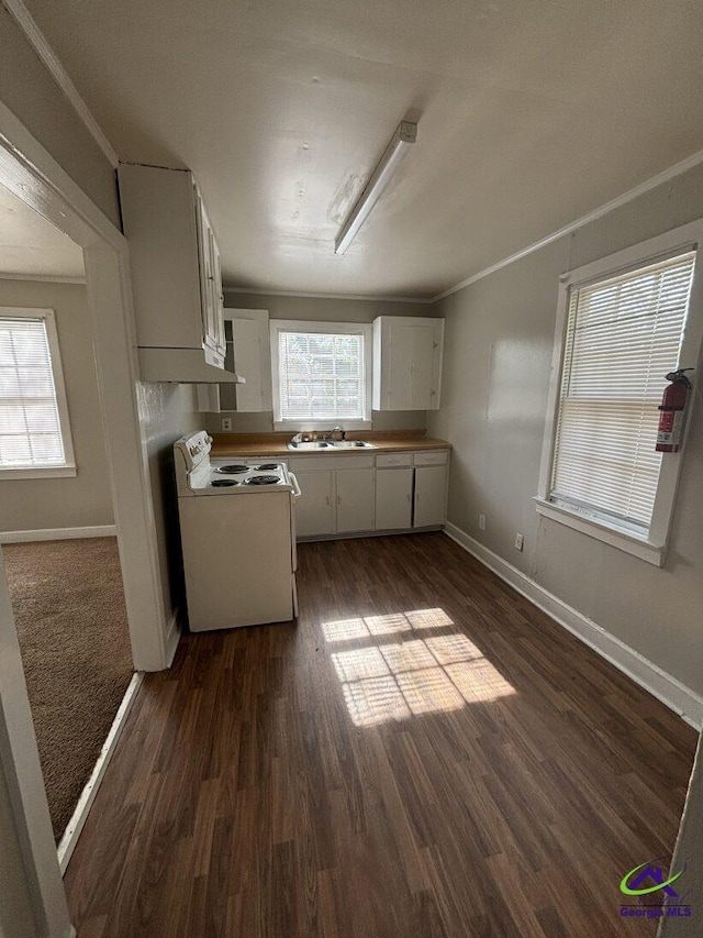 kitchen with dark hardwood / wood-style floors, electric stove, crown molding, and white cabinetry