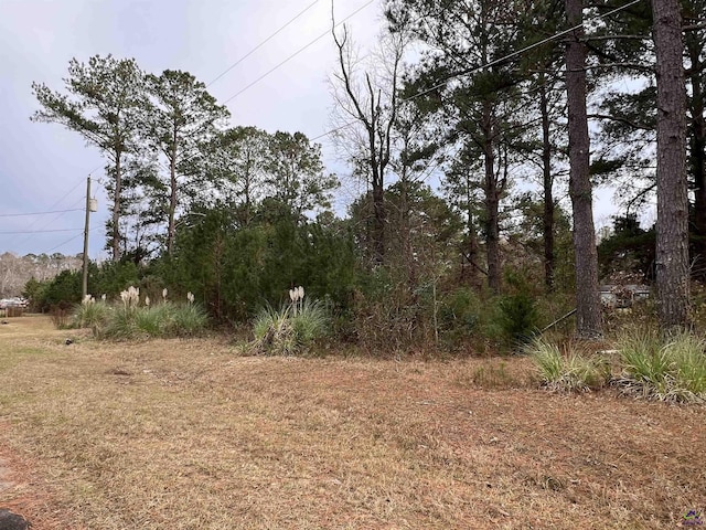 107 Persimmon Dr, Kathleen, GA 31047
