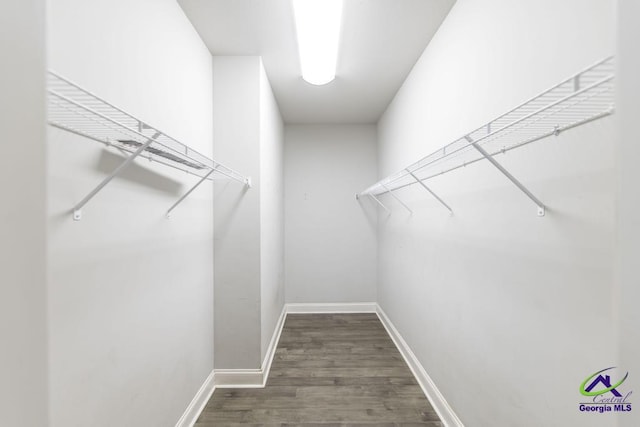 walk in closet with dark hardwood / wood-style floors