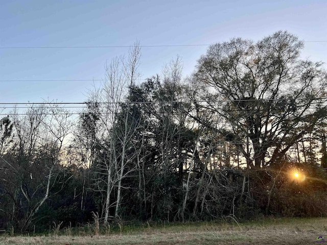 0 Ward St, Eastman GA, 31023 land for sale