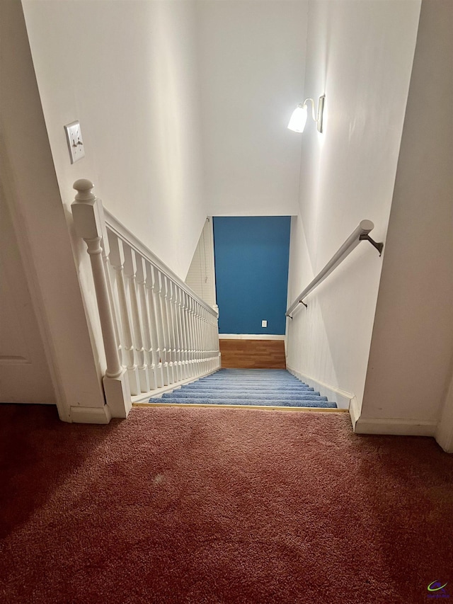 staircase featuring carpet