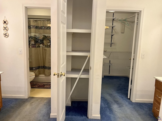 view of closet