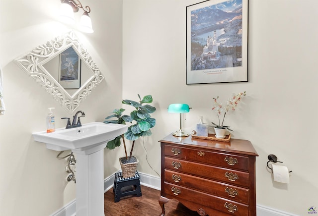 bathroom with sink and hardwood / wood-style flooring