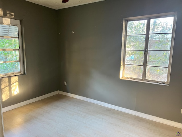 unfurnished room featuring ceiling fan and light hardwood / wood-style floors