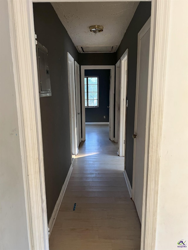 corridor featuring a textured ceiling, light hardwood / wood-style flooring, and electric panel