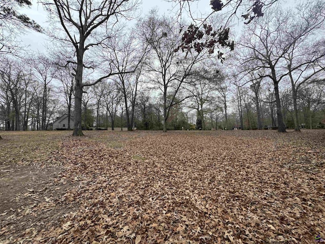 view of local wilderness