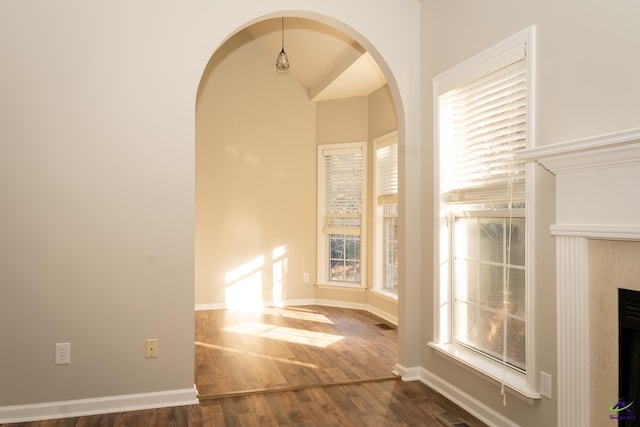 interior space with dark hardwood / wood-style floors