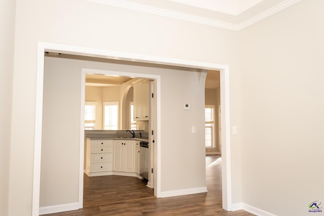 interior space with crown molding, a healthy amount of sunlight, dark hardwood / wood-style floors, and sink