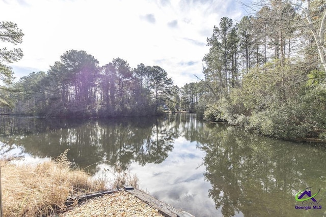 property view of water