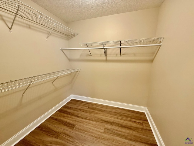 walk in closet featuring hardwood / wood-style floors