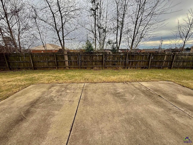 view of yard featuring a patio area